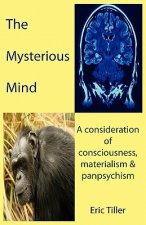 Mysterious Mind