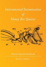 Instrumental Insemination of Honey Bee Queens