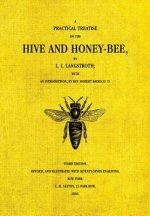 Hive and the Honey-Bee