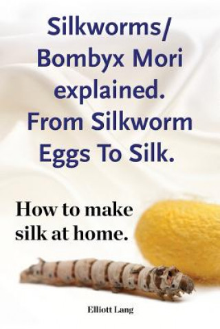 Silkworm/Bombyx Mori explained. From Silkworm Eggs To Silk. How to make silk at home. Raising silkworms, the mulberry silkworm, bombyx mori, where to