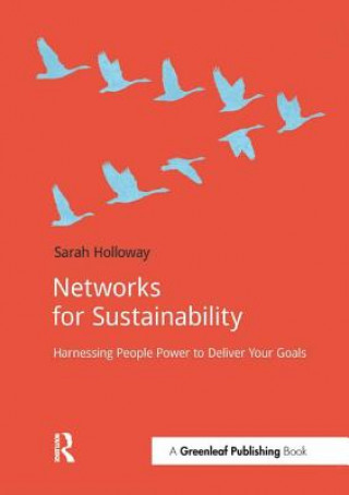 Networks for Sustainability
