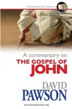 Commentary on the Gospel of John