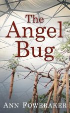 Angel Bug