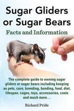 Sugar Gliders or Sugar Bears