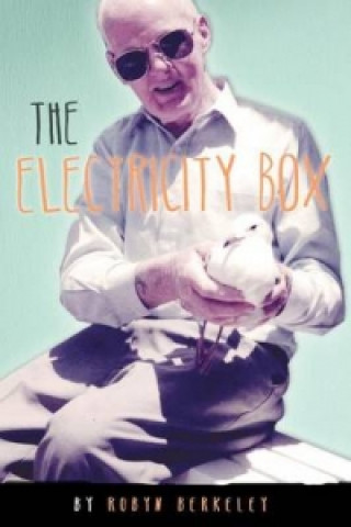 Electricity Box