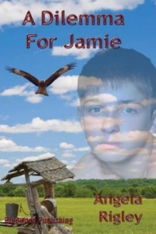 Dilemma for Jamie