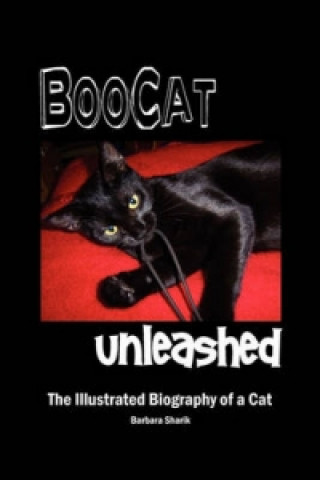 BooCat Unleashed