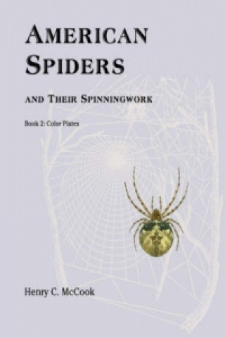 American Spiders and Their Spinningwork, Book 2