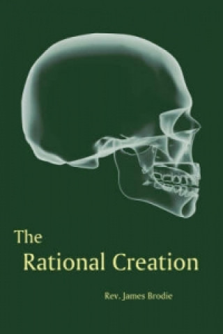 Rational Creation
