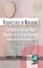 Organizational and Human Dimensions of Successful Mentoring Across Diverse Settings