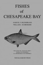 Fishes of Chesapeake Bay