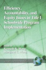 Accountability, Efficiency and Equity