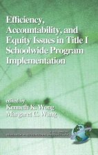 Accountability, Efficiency and Equity