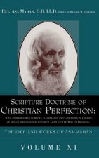 Scripture Doctrine of Christian Perfection