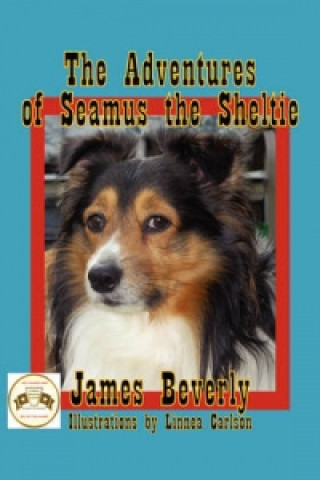 Adventures of Seamus the Sheltie