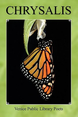 Chrysalis