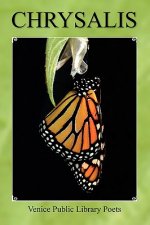 Chrysalis