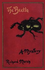 Beetle