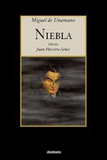 Niebla