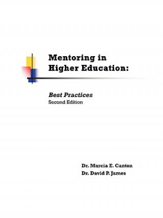 Mentoring in Higher Education