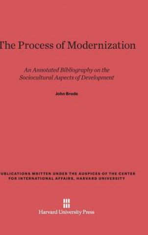 Process of Modernization