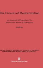 Process of Modernization