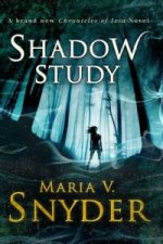 Shadow Study
