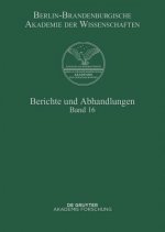 Berichte und Abhandlungen, Band 16, Berichte und Abhandlungen Band 16