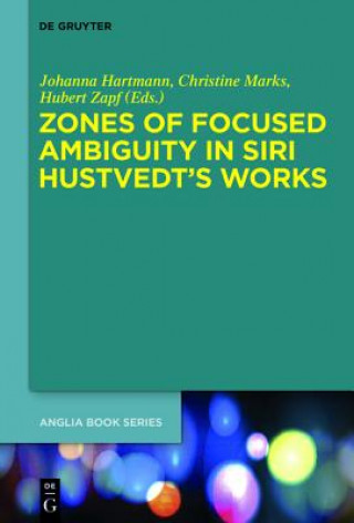 Zones of Focused Ambiguity in Siri Hustvedt's Works