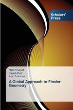 Global Approach to Finsler Geometry