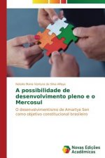 possibilidade de desenvolvimento pleno e o Mercosul