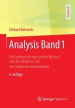 Analysis. Bd.1