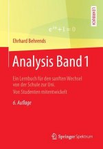 Analysis. Bd.1