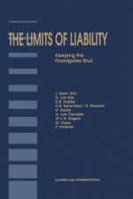 Limits of Liability