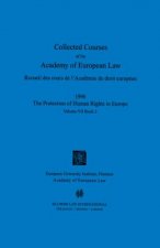 Collected Courses of the Academy of European Law 1996 vol. VII - 2