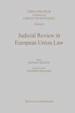 Judicial Review in European Union Law