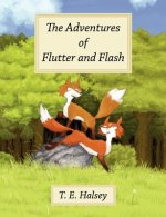 Adventures of Flutter and Flash