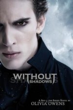 Without Shadows