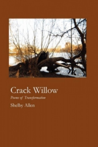 Crack Willow