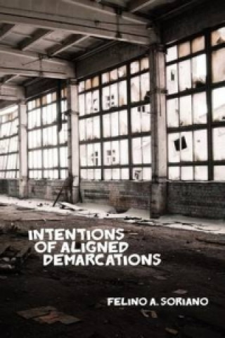Intentions of Aligned Demarcations