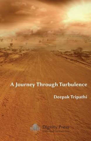 Journey Through Turbulence
