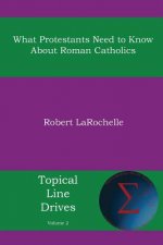 What Protestants Need to Know about Roman Catholics