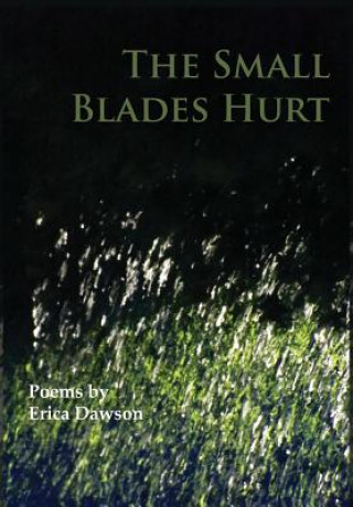 Small Blades Hurt