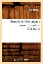 Brun de la Montaigne: Roman d'Aventure (Ed.1875)