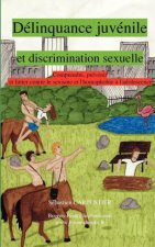 Delinquance Juvenile Et Discrimination Sexuelle, Comprendre, Prevenir Et Lutter Contre Le Sexisme Et L'Homophobie A L'Adolescence
