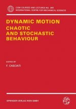 Dynamic Motion: Chaotic and Stochastic Behaviour