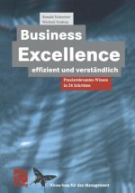 Business Excellence Effizient Und Verstandlich
