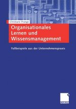 Organisationales Lernen Und Wissensmanagement