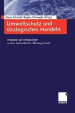 Umweltschutz Und Strategisches Handeln