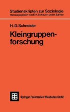 Kleingruppenforschung